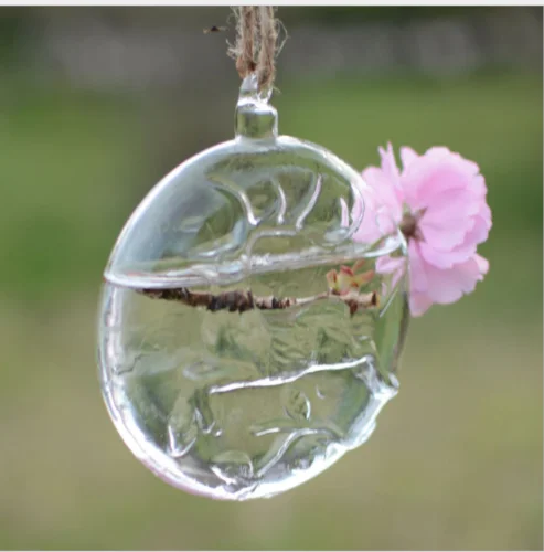 Горячая Распродажа подвесные стеклянные Гидропонные цветы ваза круглые шарики