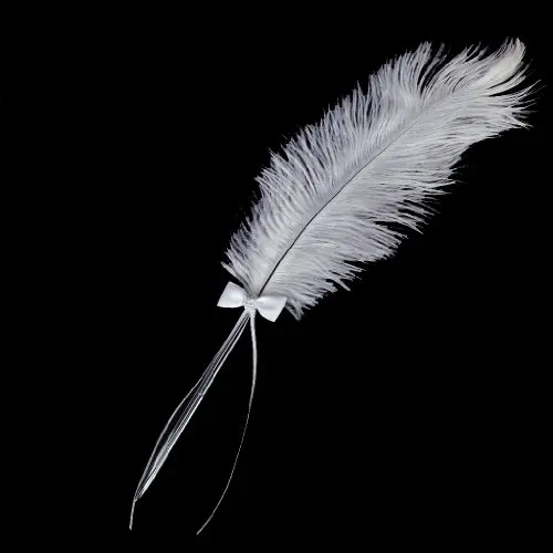 Свадебная авторучка с бантом белая Страусиная перьевая ручка бриллиантом|pen