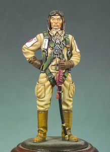 Модель 135 года, набор из смолы, японские пилоты