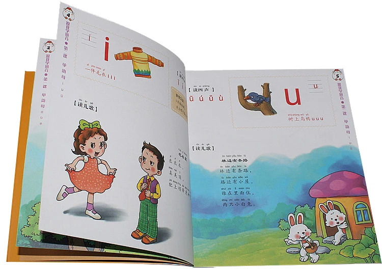 Рисунок 4 - Phonetic DVD Pinyin учебник книга