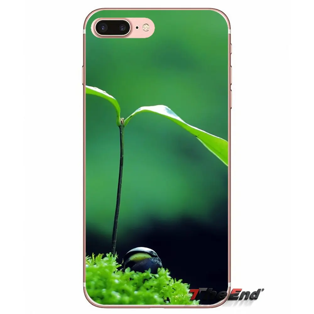 Прозрачный чехол из ТПУ для Apple iPhone X 4 4S 5 5S SE 5C 6 6S 7 8 Plus 6sPlus 6Plus 7plus 8plus Zen легенда о