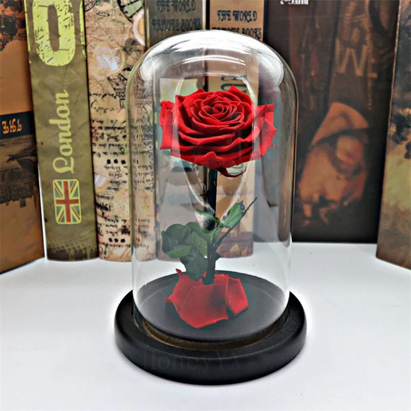 Подарок на день матери Forever Rose Flower 10 видов цветов | Дом и сад