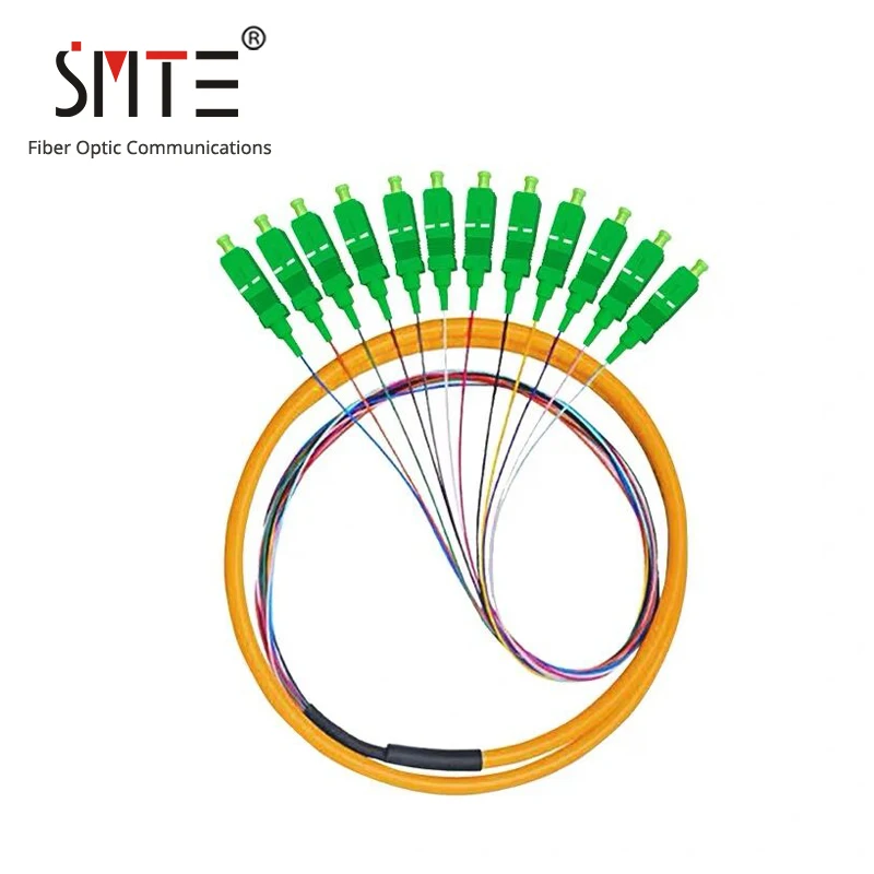

12 core pigtail fiber optic patch cord 0.9mm 1 meters SC/APC