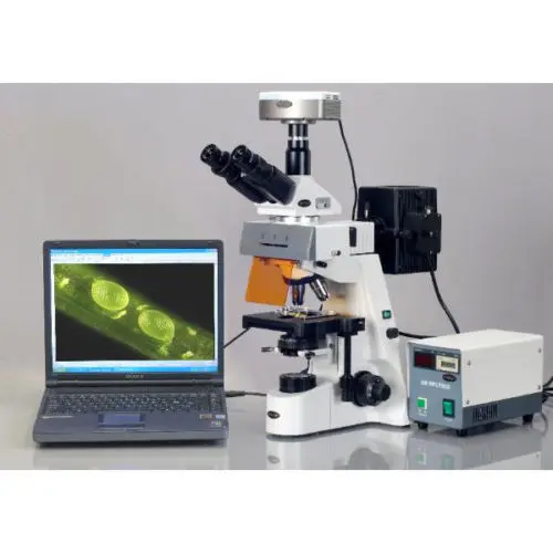 AmScope 40x-2500x Plan Infinity Extreme Widefield EPI-Fluorescent Microscope | Инструменты