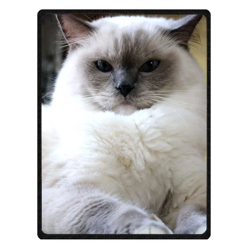 Ragdoll с принтом кота весна/осень одеяло коралловый флис покрывало простыня диван