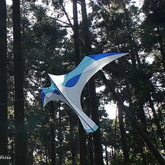 Летающий воздушный змей летающий | Игрушки и хобби