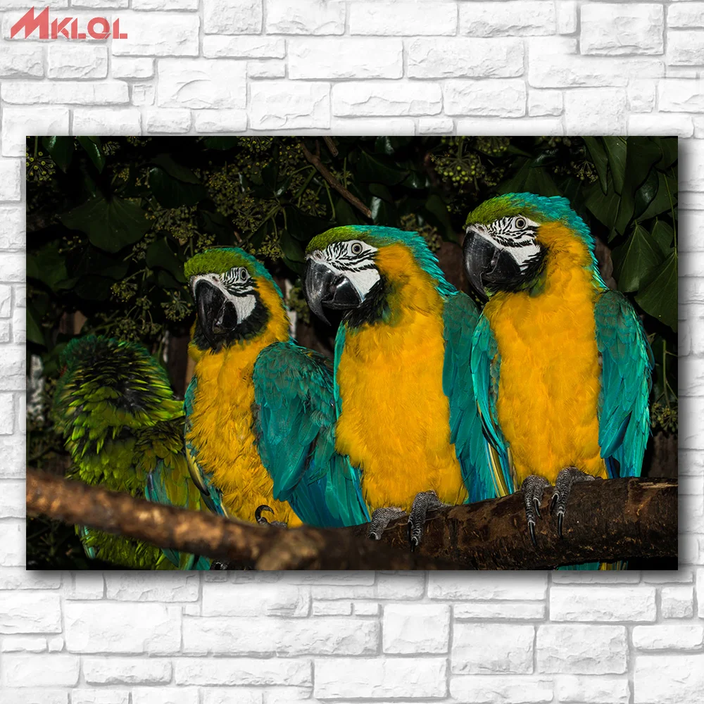 

Large Size photos Animal Parrot Bird Branch Canvas Home Decor Wall oil Painting Print Nice wall picture for living room