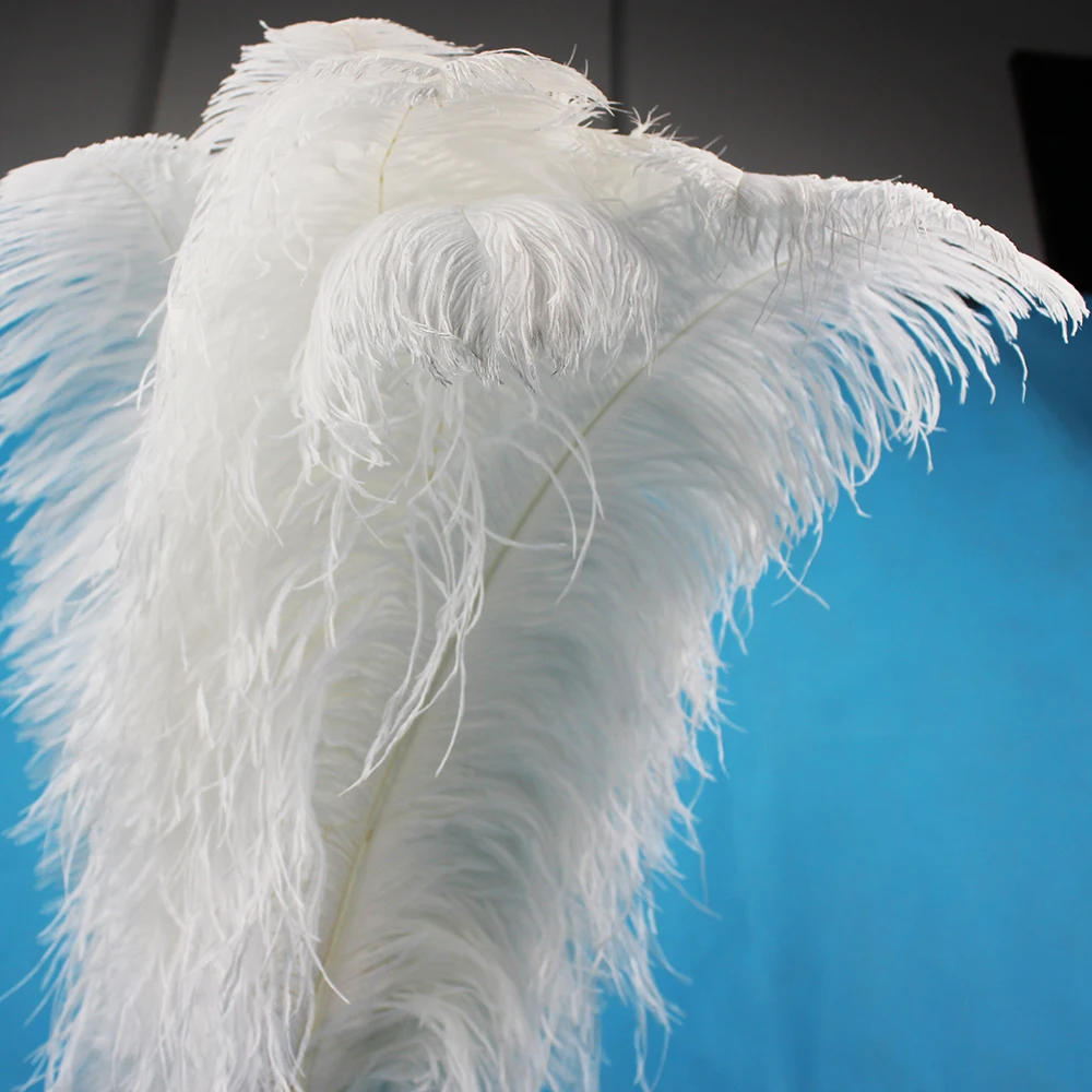 50 шт. перо страусиного дерева 55 см/20 22 дюйма|white ostrich feathers|feathers for wedding decorationostrich feather