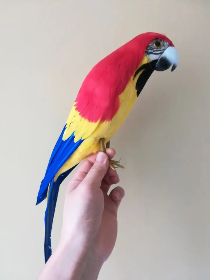 

simulation parrot plastic&feathers yellow-red parrot bird 42cm hard model toy,prop,home garden decoration gift w2411