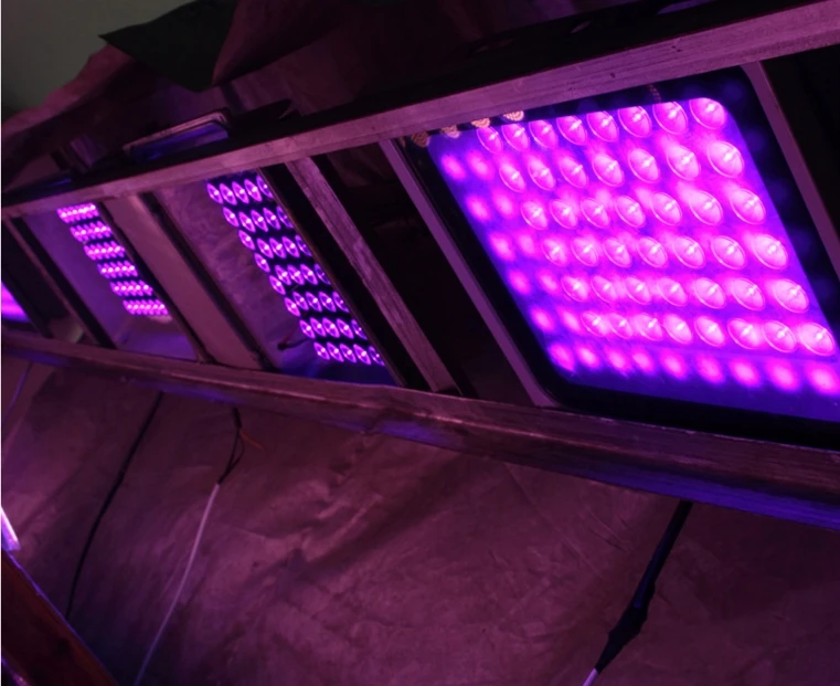 [Seven Neon] Профессиональный ультрафиолетовый IP66 395NM 54 светодиода 50 Вт DC85 265V клей