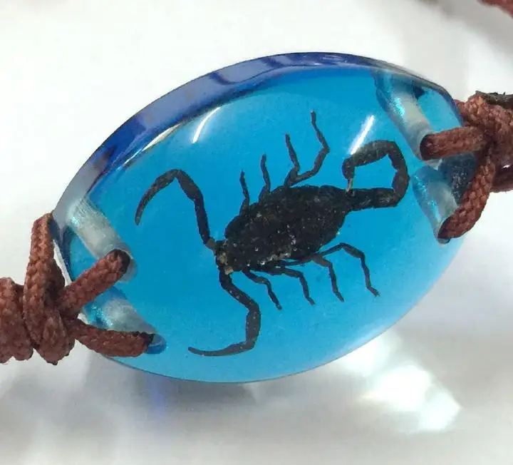 10 браслет Real Black Scorpion Taxidermy в смоле синего цвета|scorpion exo|scorpion rcscorpion tank |