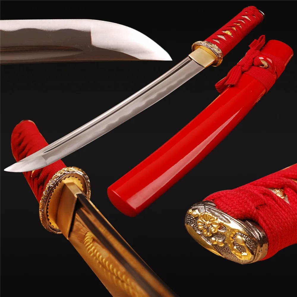 

Iaido Training Japanese Samurai Tanto Sword Real Sharp Full Tang Cutting Practice Short Knife 1060 Carbon Steel Full Tang Sword
