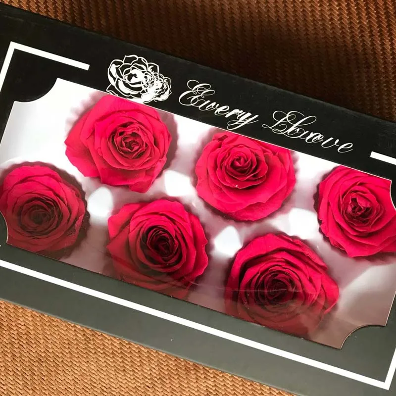 5 см природа свежий консервированный Роза голова в Fuschia Красавица и Чудовище