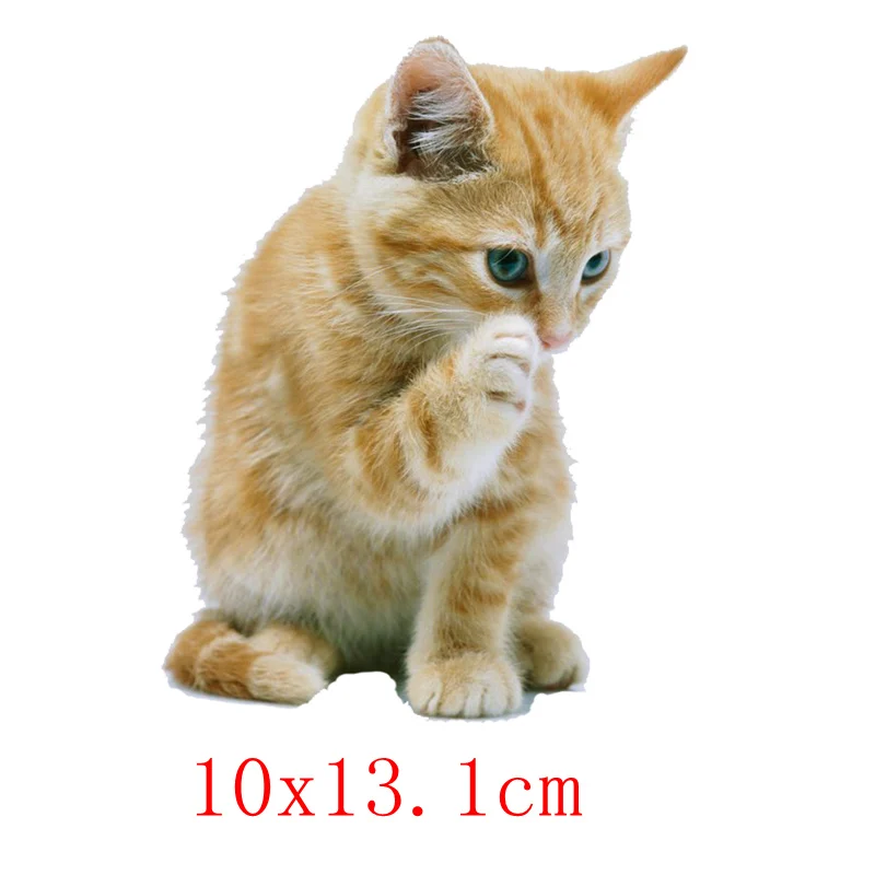 Три Ratels TRL534 #10x13 1 см котенок Прокат забавные наклейки Кот и надписи|Наклейки на