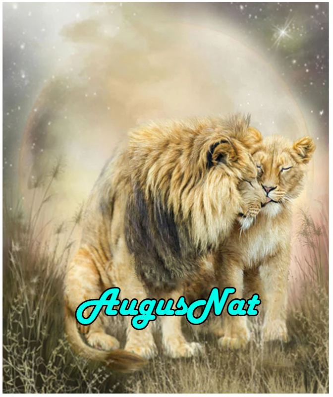 Алмазная живопись lioness алмазная вышивка для влюбленных полностью круглая