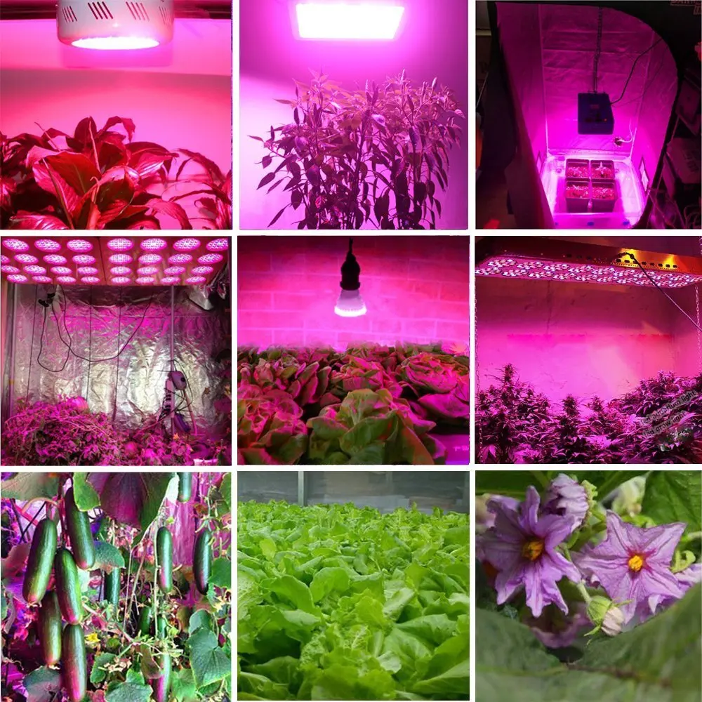 Светодиодная лампа для выращивания растений 600 Вт 5 шт./лот|led grow light 600w|led growled |