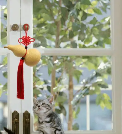 DYZ + натуральный маленький Тыква ремесла бутик домашнего интерьера фэн шуй