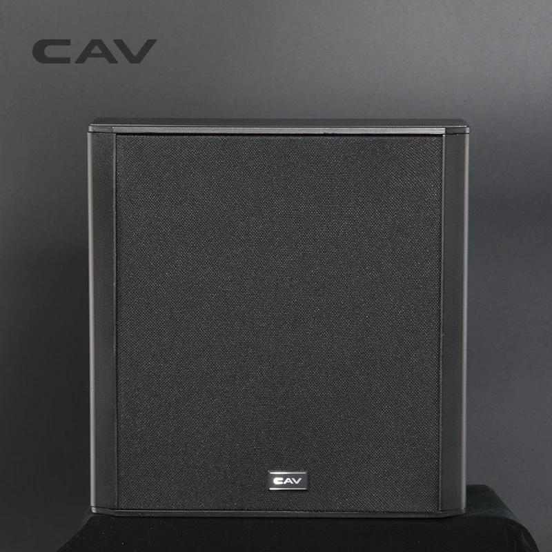 Настенный динамик CAV DL-5 специализированные динамики ETON из алюминиевого сплава