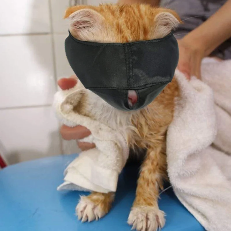 Солнцезащитные очки "кошачий глаз" маска мордочка Кошки Путешествия для ванной Красота Уход за лошадьми зоотоваров анти укус кошки морды маска солнцезащитные очки "кошачий глаз" Защитная крышка