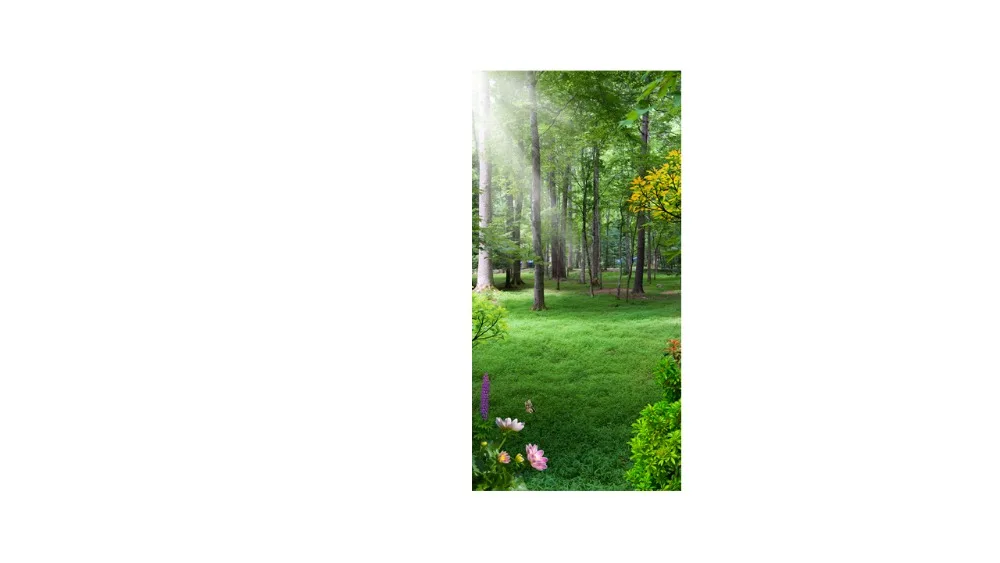 

Fashion 3d curtains Home Decor Living Room Natural Art srping scenery Home Decoration