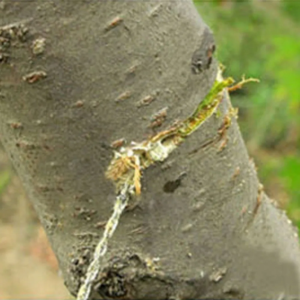 Прочная проволочная пила из нержавеющей стали высокопрочная для аварийного