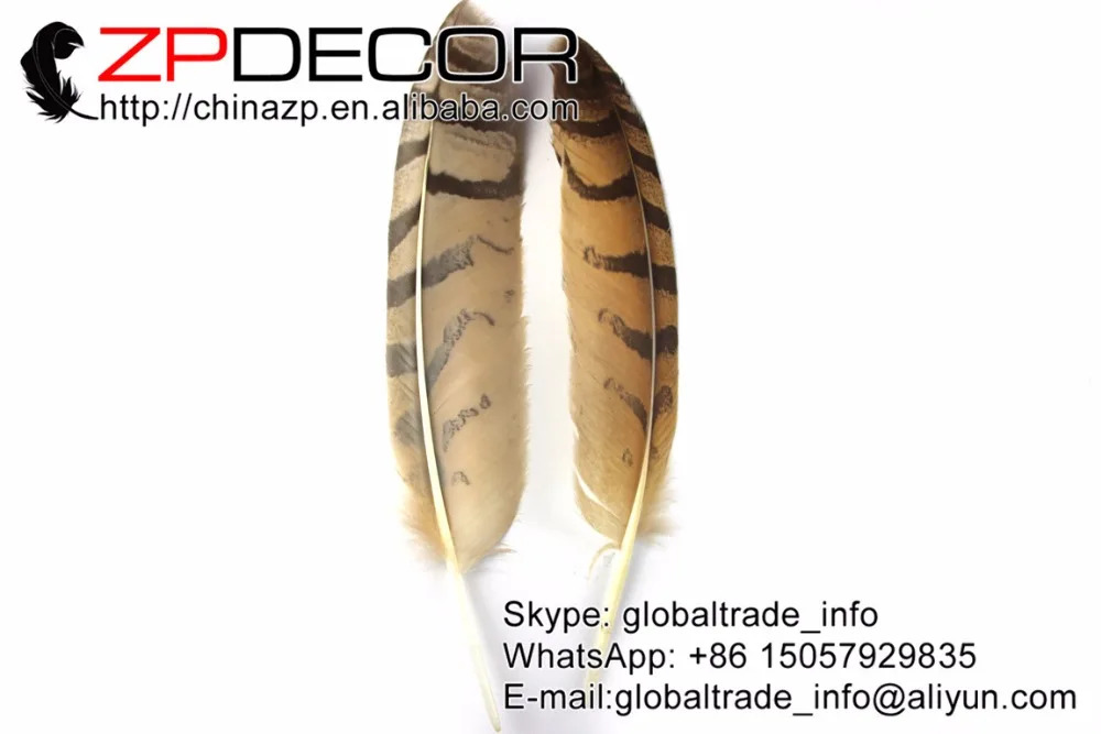ZPDECOR 30 35( 12 14 дюймов) 50 шт./лот настоящие красивые перья с изображением совы и орла