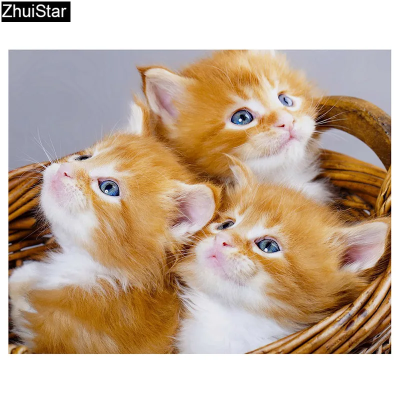 

Diamond Embroidery Orange Cats Picture of Rhinestone 5D Full Square Resin Drill Diamond Painting Handmade Craft Children XY1