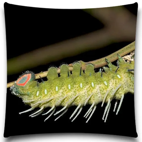 Подушка без внутренней ткани креативная насекомое полиэстер квадратный
