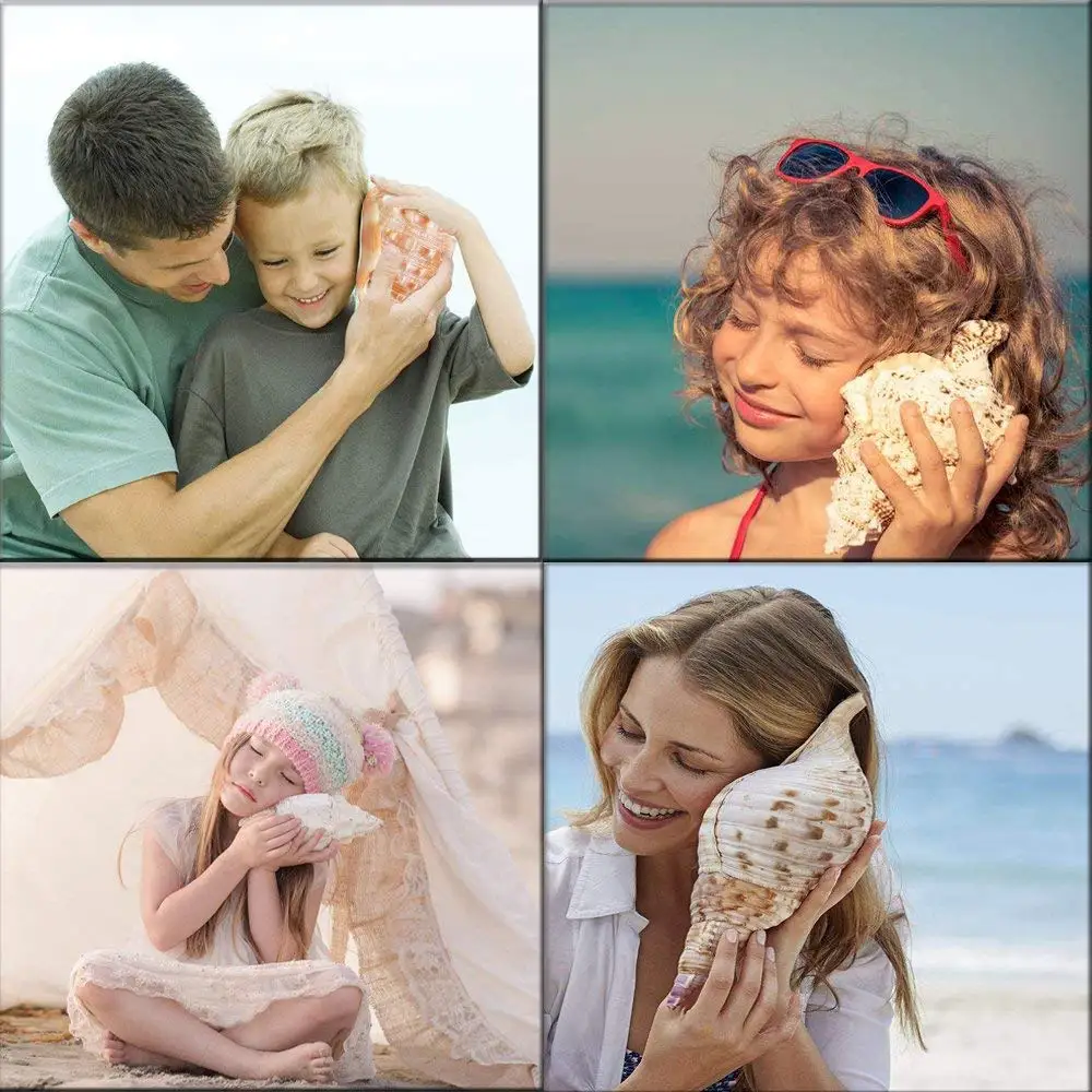 Большая Натуральная морская раковина для свадебной вечеринки на пляже домашние