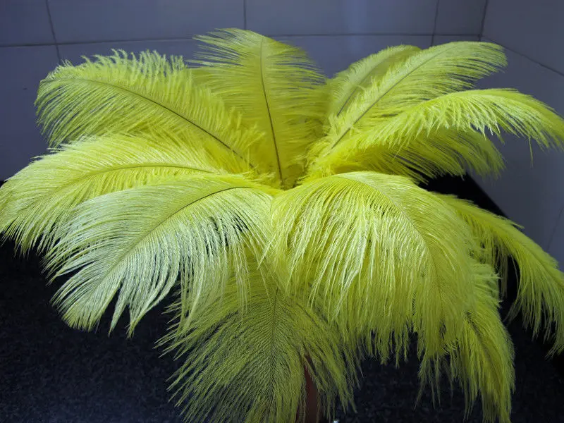 

Hot! Free shipping manufacturers selling 10 PCS yellow ostrich feathers 20-22inches/50-55cm