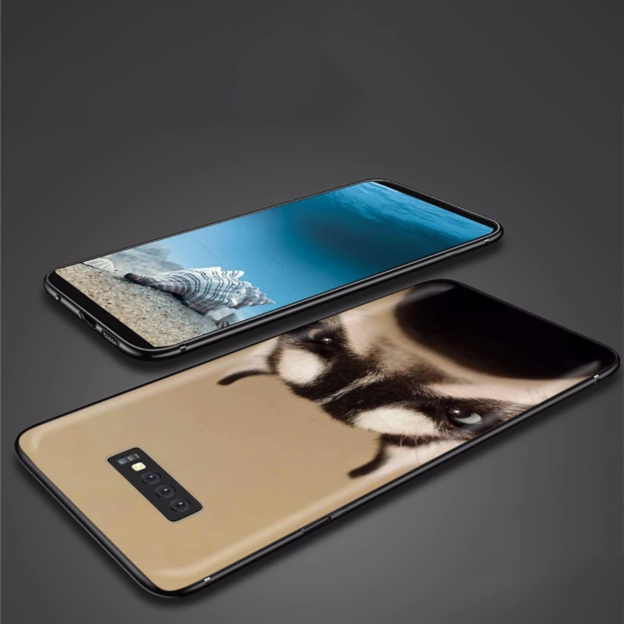 Чехол с рисунком животного Хаски для Samsung Galaxy J6 A9 A8 A7 A70 A6 A5 A50 A40 A30 A3 A10 A51 A71 A81 A91