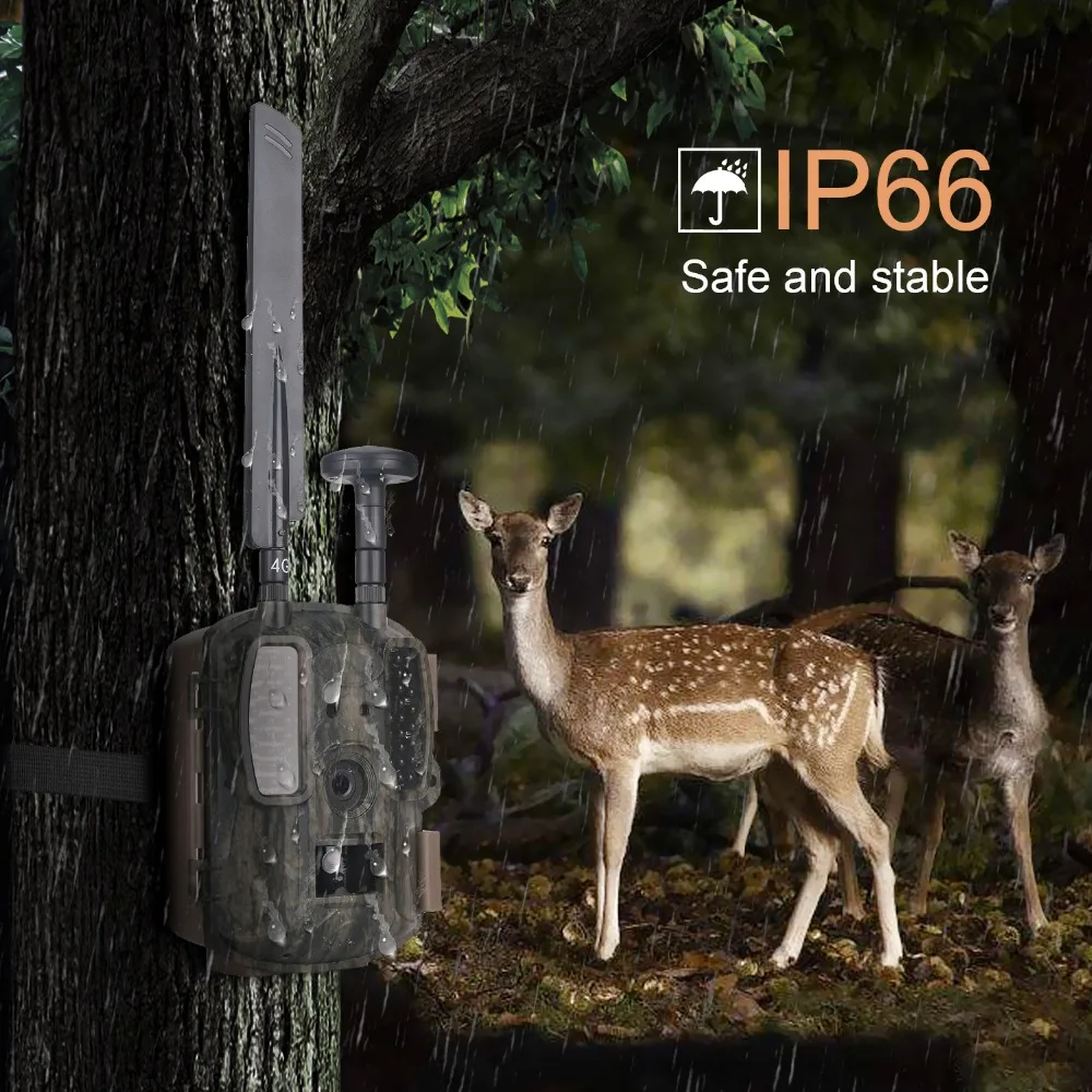 

Waterproof IP66 120 Degree Wide Angle 4G Network GPS Hunting Camera MMS Wild Trail Camera BL480L-P