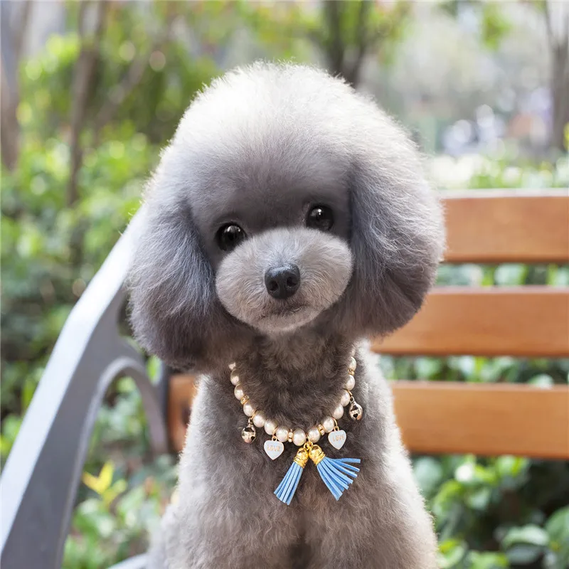 Роскошное ожерелье для собак и кошек подвеска питомцев жемчужный колокольчик