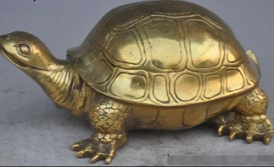 8 &quotКитайский латунный по феншуй долговечность Животное Черепаха благоприятная