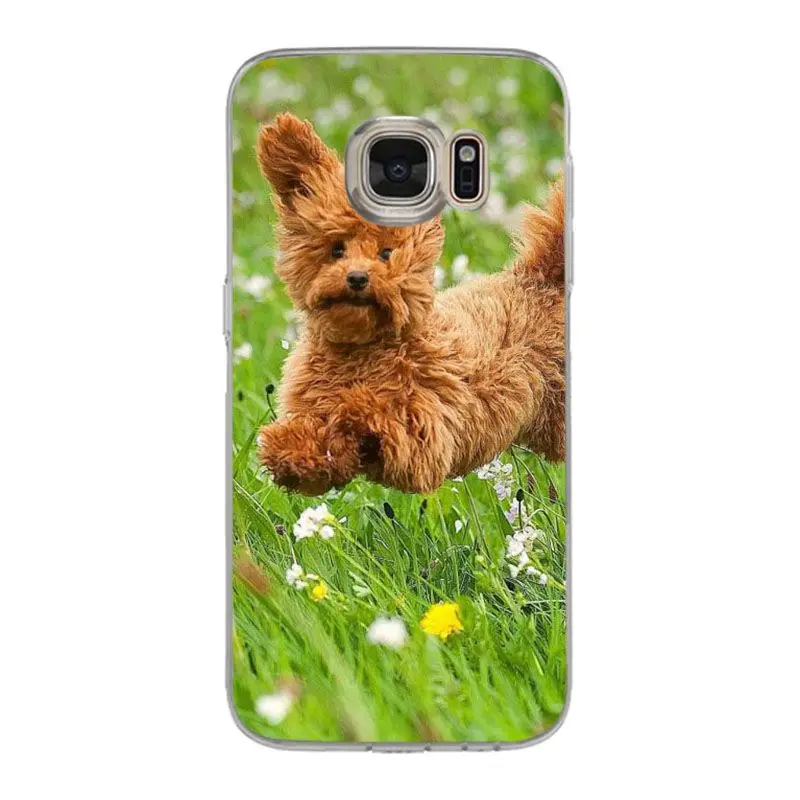 Чехол для телефона Yinuoda cut_щенок Игрушка Пудель Собака уникальный дизайн samsung galaxy