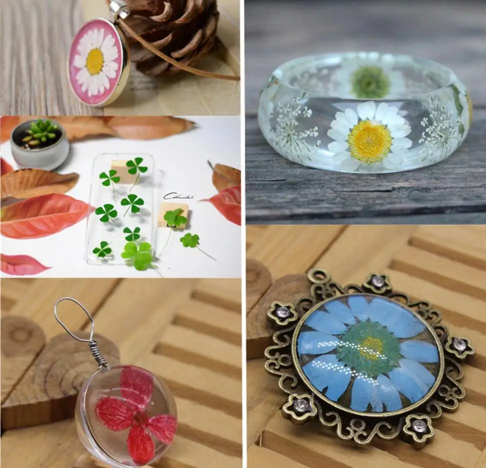 100 шт Ассорти сушеные прессованные цветы гербарий из растений для ювелирных