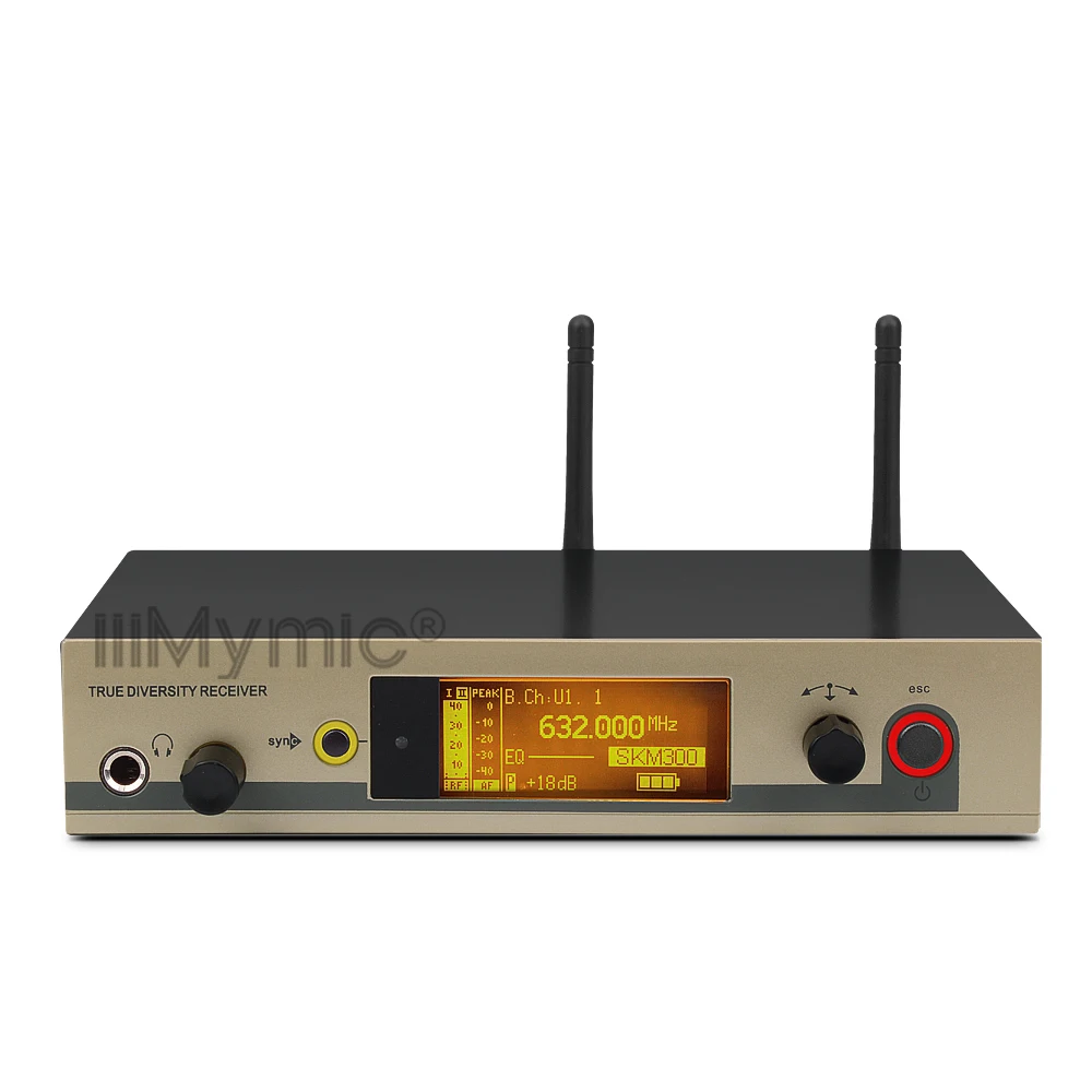 True Diversity 322 G3 Профессиональный UHF беспроводной микрофон Беспроводная система с сумкой передатчик гарнитура головной нагрудный микрофон