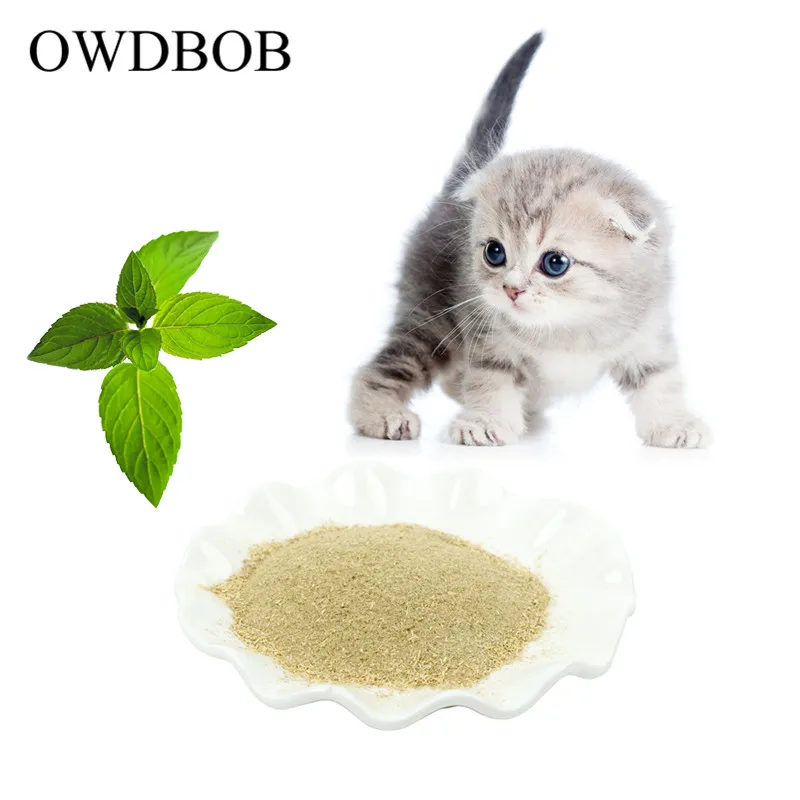 OWDBOB 1 упаковка кошачьи лакомства органические натуральный Премиум кошачий скот трава 10 г ментол вкус Забавные игрушки кошки Аксессуары для кошек