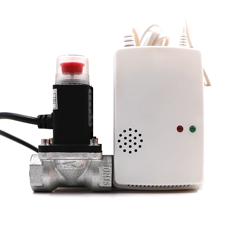 

Gas Leak Detectors for The Home Valve Cut Off Automatic LPG Natural Standalone Gas Leak Alarm DN15 Pipe Sound and Light Alarm