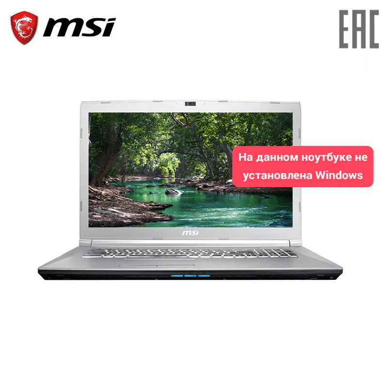 Игровой ноутбук MSI PE72 8RC 17 3&quot/i7 8750H/8 GB/1 ТБ + 128 GB/GTX 1050/NoODD/Dos/серебро (9S7 179F43