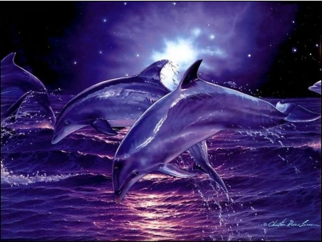 

Diamond embroidery Paintings Rhinestone Pasted 3D Diamond painting Animal Lover Dolphin Star diamond mosaic