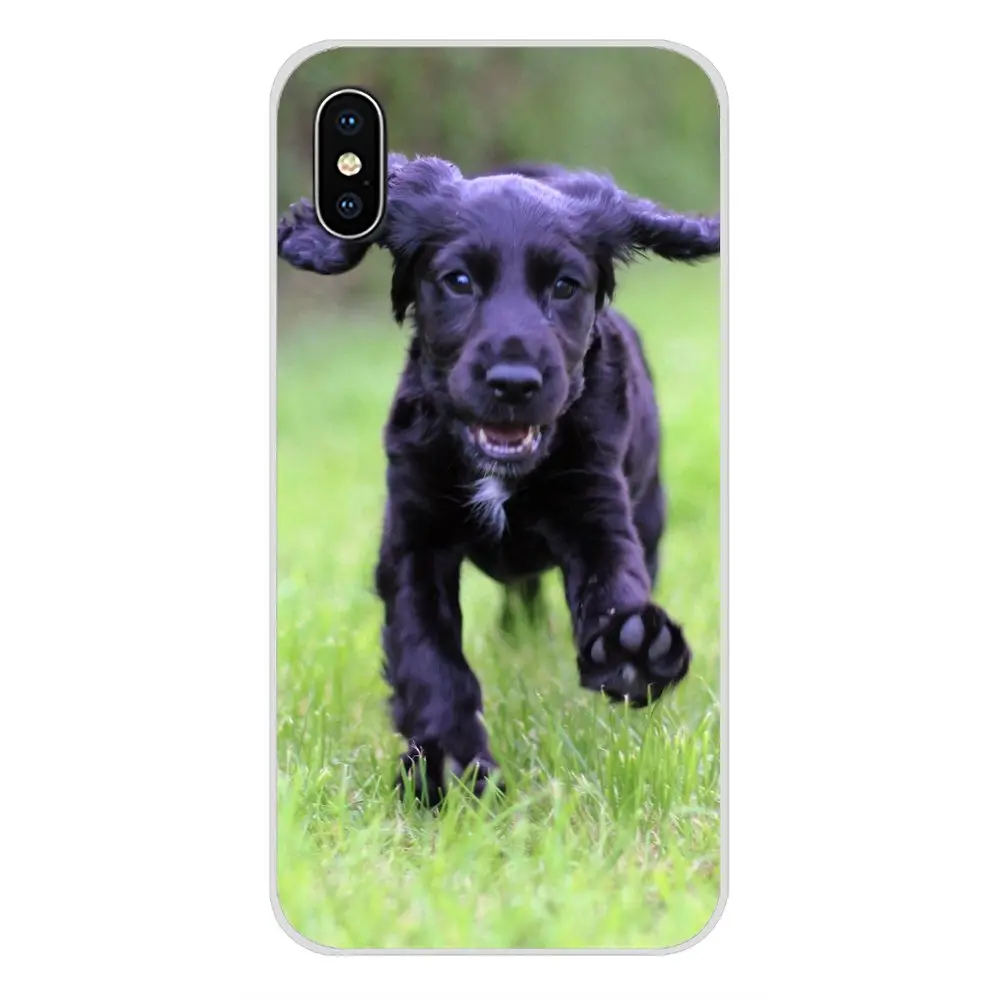 Прозрачные мягкие чехлы с плоским покрытием Retriever dog art для Xiaomi Redmi 4A S2 Note 3 3S 4 4X5 Plus 6