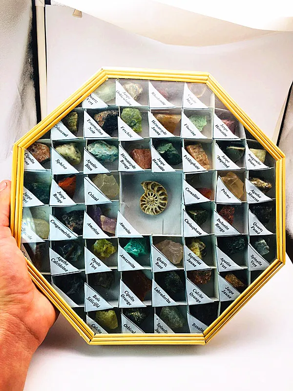 

Madagascar 49 kinds of natural quartz crystal raw stone home furnishings