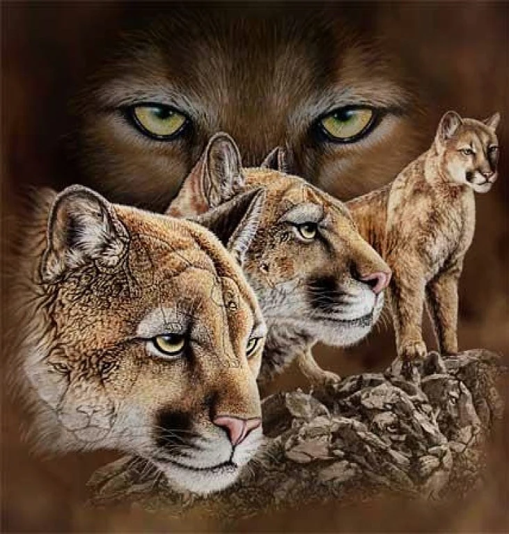 5D Лев полностью просверленные круглые животные рукоделие алмазная живопись