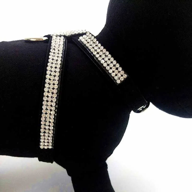 Ошейник для маленьких собак и кошек из кожи | Дом сад