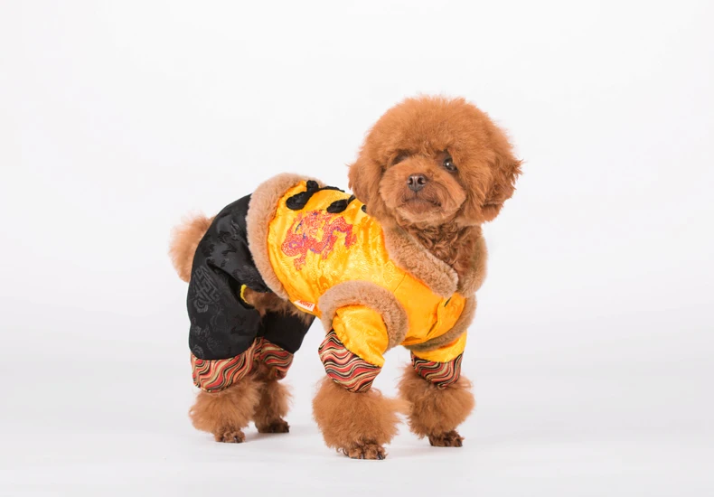 HOOPET Pet Chinese Dragon Traditional Costume Warm Thick Pet Dog Cat Winter Jumpsuit Clothes Jacket Tang Suit