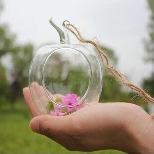 Стеклянная ваза бутылки предметы интерьера прозрачные растения яблоко стекло