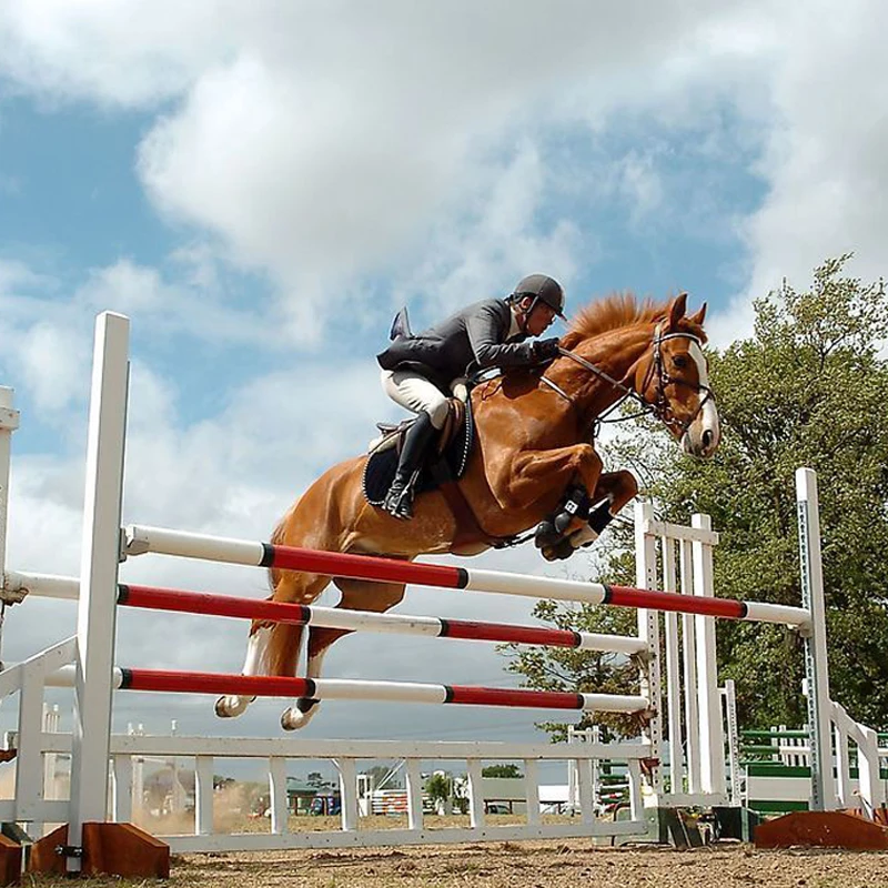 Высококачественный шлем для конного спорта или верховой езды защитный скачек 9