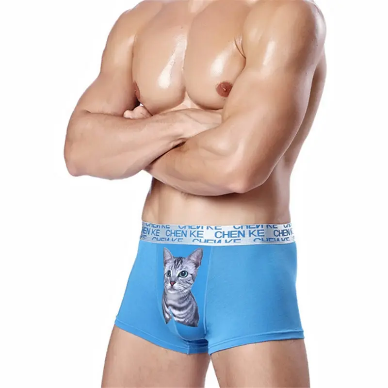 4 шт./лот модные CALVIN сексуальные удобные дышащие мужские трусы из модала с милым