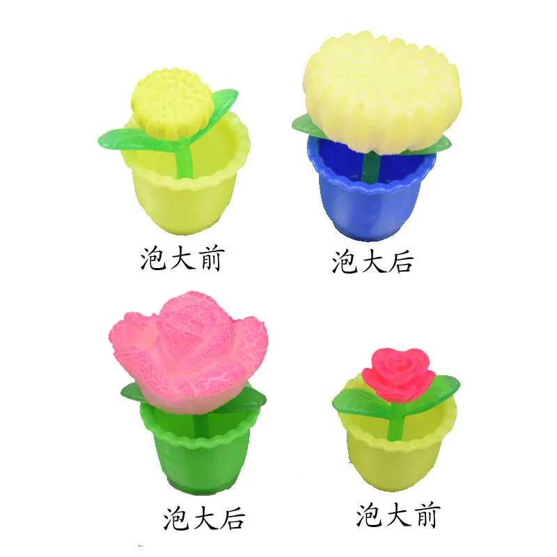 2016 Оригинальные забавные растения для выращивания воды цветы растущие